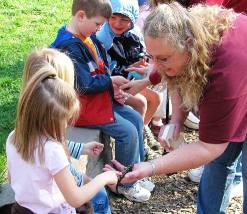 Learning about Salamanders